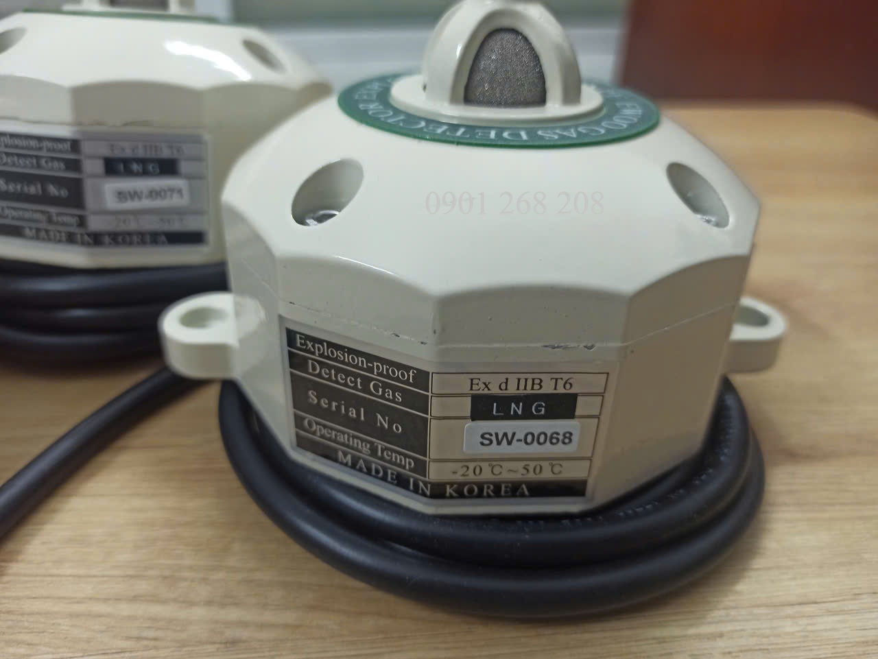 LPG gas detector ew exiib 100